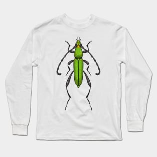 Green beetle Long Sleeve T-Shirt